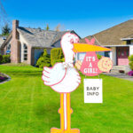 BABY GIRL STORK RENTAL