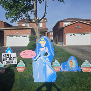 CINDERELLA PLUS CARRAIGE