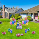baby shark lawn set up