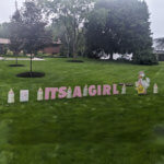 IT'S A GIRL YARD CARD