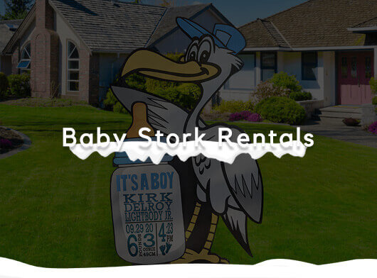 Baby Stork Rentals